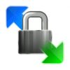 WinSCP 6.5.5 иконка программы