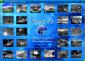 World of Warships