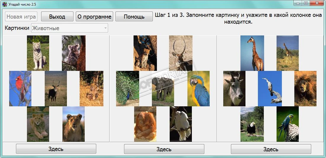 Угадай число