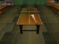 Table Tennis Pro